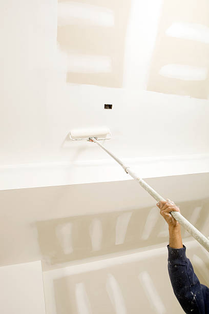 Mold Odor Removal Services in Baker, MT